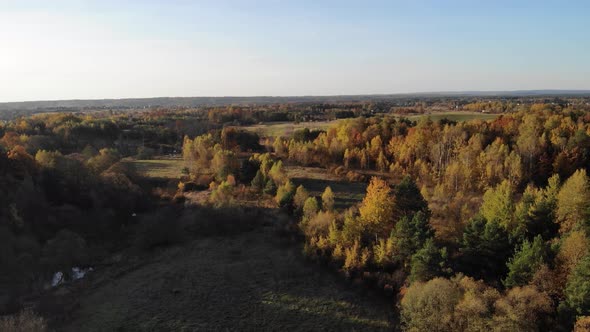 Autumn forest seen from above