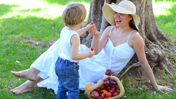 Family Picnic