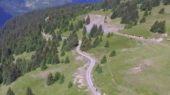 Aerial view of a mountain biker on a singletrack trail