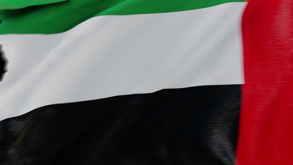 4K United Arab Emirates flag transition with alpha. two step