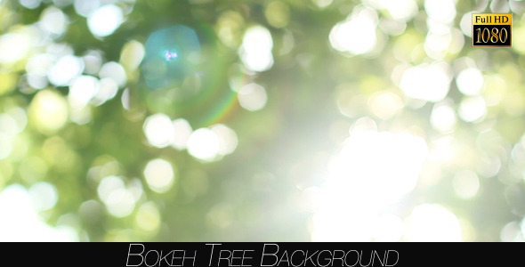 Bokeh Tree Background 22