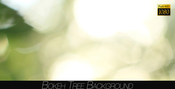 Bokeh Tree Background 23