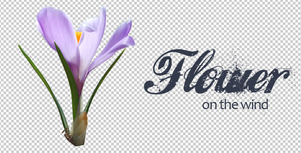 Flower On The Wind alt