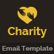 Charity Nonprofit Email Template PSD - GraphicRiver Item for Sale