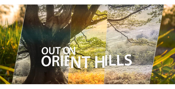 Simple Slideshow 2 alt