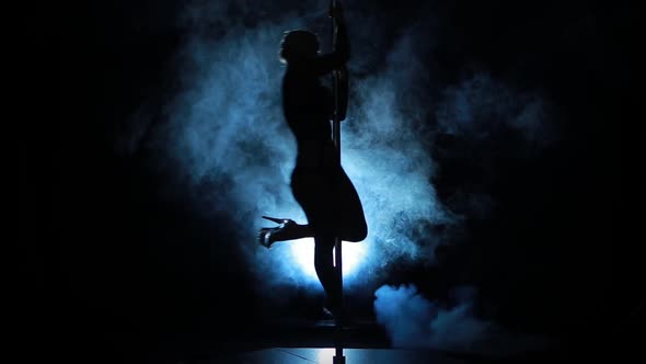Silhouette of a Sexy Female Pole Dancing