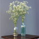 Baby's Breath Flower 01  - 3DOcean Item for Sale