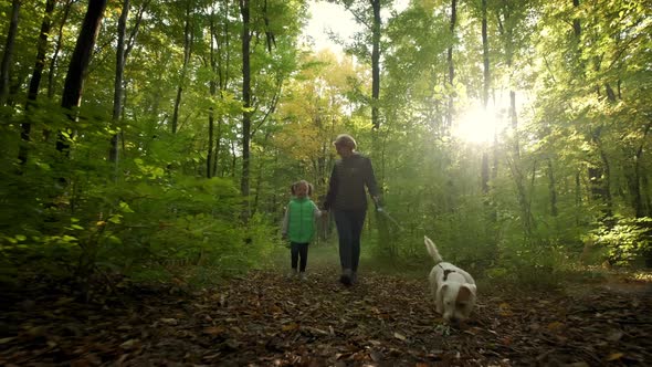 Slow Motion Footage of Woman with Little Daughter Walking the Dog in the Forest