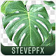 Monstera  - VideoHive Item for Sale
