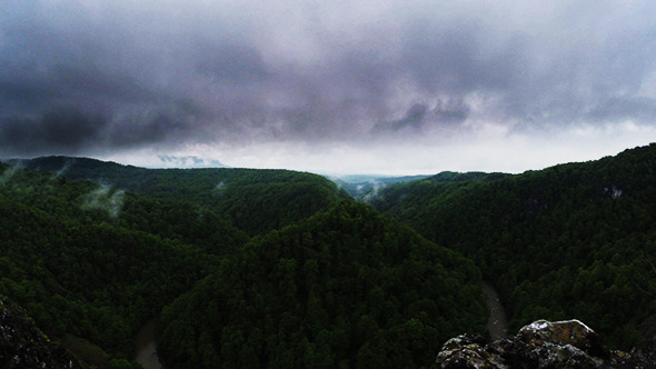 Horse Shoe River in the Green Forest