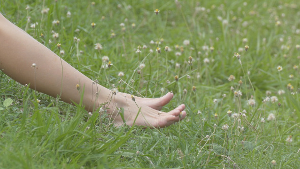 Woman Legs Sitting On The Grass