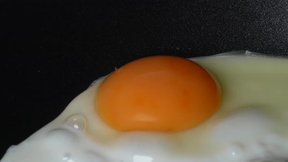 Fried Egg 93