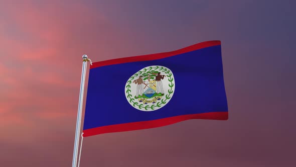 Flag Of Belize Waving