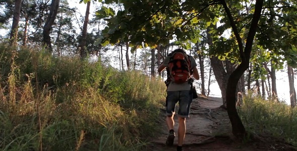 Man Walking In The Woods