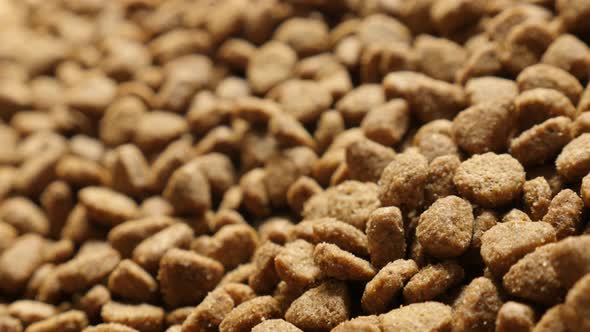 Healthy  brown pet dry food slow pan 4K 2160p 30fps UltraHD footage - Shallow DOF pile of cat or dog