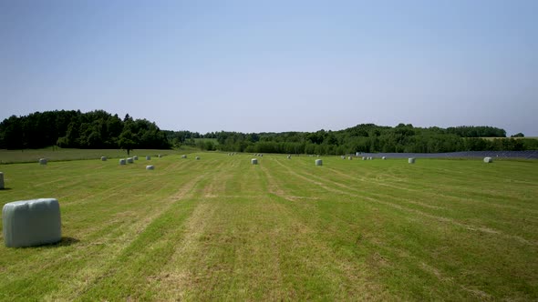 Agricultural field after harvesting crops with hay bales wrapped in white plastic bags -aerial