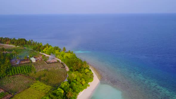 Aerial drone landscape of sea view beach by ocean with sand background