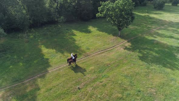 Family Outdoor Recreation Man Cowboy and a Woman Riding a Horse in a Clearing Near the Forest Horse