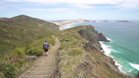 Men is Hiking in New Zealand Ocean Coast