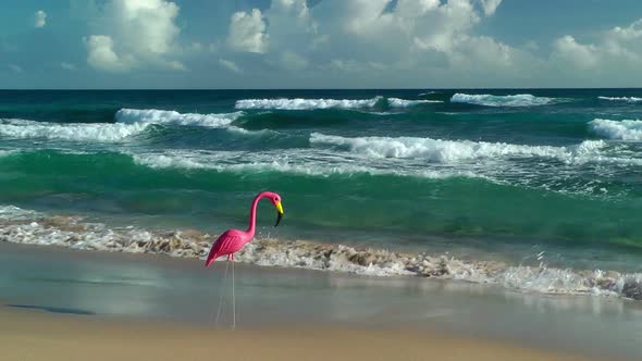 Plastic Flamingo On Isabel Beach