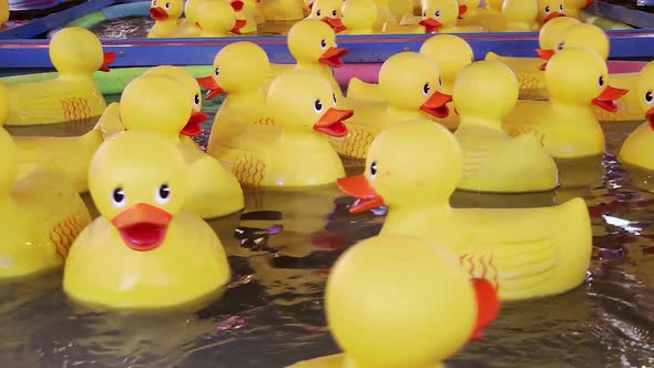 Yellow Rubber Ducks Floating 1