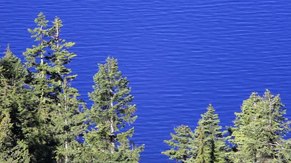 Trees And Crater Lake