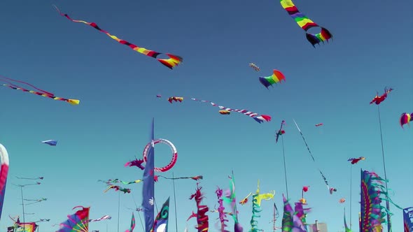 Kites And Banners Blowing In The Wind 2