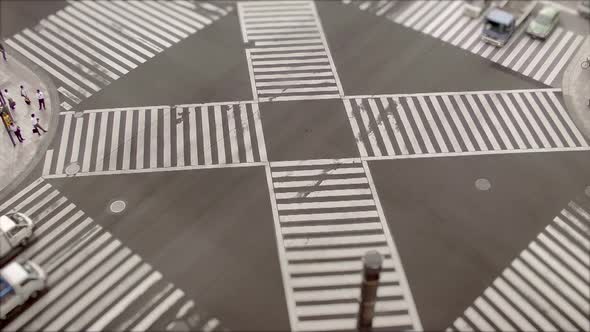 Shibuya Crossing, Time Lapse alt