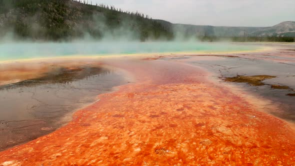 Colorful Bacteria Mat Surrounding Grand Prismatic Spring 1