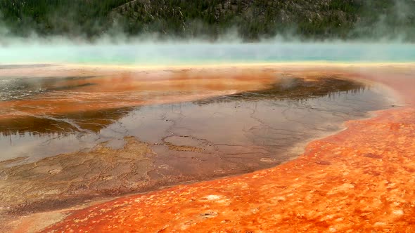 Colorful Bacteria Mat Surrounding Grand Prismatic Spring 2