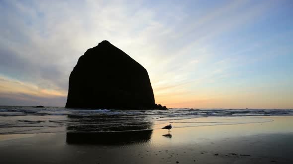Oregon Coast 8