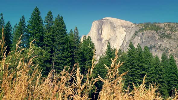 Half Dome 2