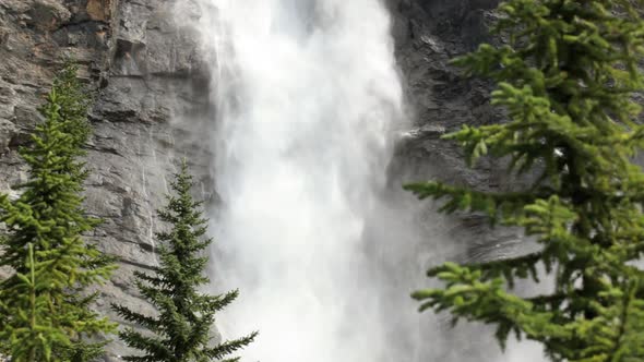 Trees And Takakkaw Falls