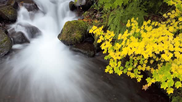 Time Lapse, Rushing Water 1