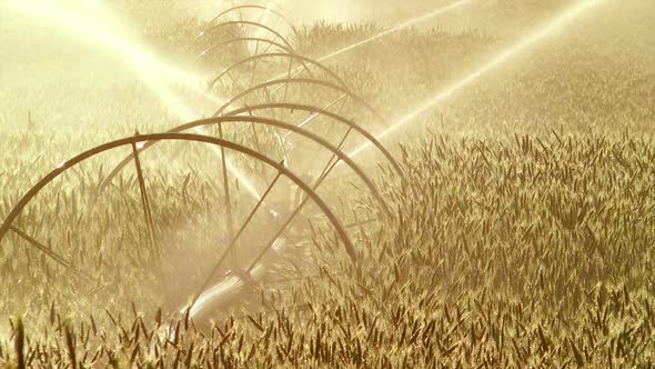 Agriculture Sprinkler