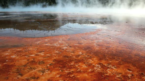Hot Springs Bacteria Mats