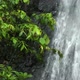 Waterfall In  Rainforest 2 - VideoHive Item for Sale