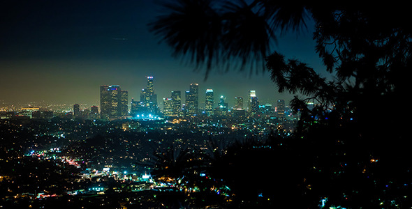 Downtown Los Angeles With Tree Branch Shadow