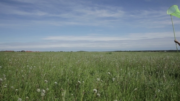 Young Girl Running With Butterfly Net alt