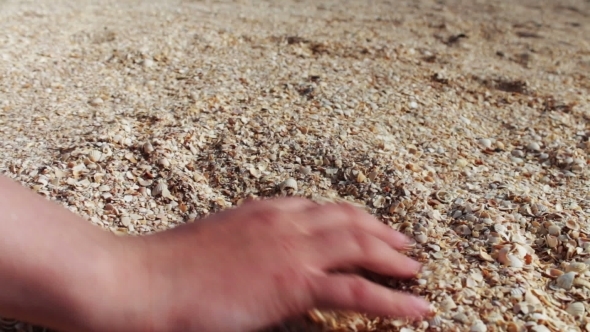 A Man's Hand Takes Seashells, Sand On The Beach