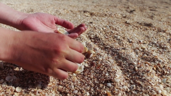 A Man's Hand Takes Seashells, Sand On The Beach