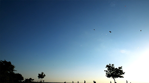 Kite in Sunset Sky