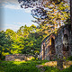 Ruins in the Forest with Beautiful Light - VideoHive Item for Sale