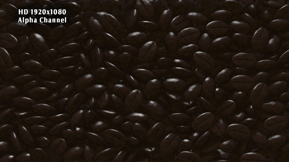 Rain Coffee Beans Transition alt