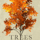 Young Zelkova Serrata Tree - GraphicRiver Item for Sale
