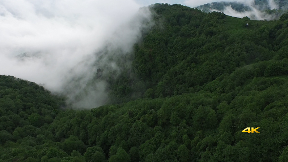 Aerial Flying Over Above Forest on Clouds Fog 1