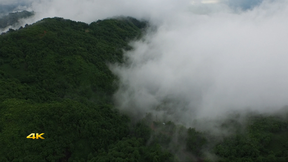 Aerial Flying Over Above Forest on Clouds Fog 3