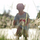 Child In A Sunny Day - VideoHive Item for Sale