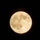 Big Yellow Full Moon Rising Up In The Sky - VideoHive Item for Sale