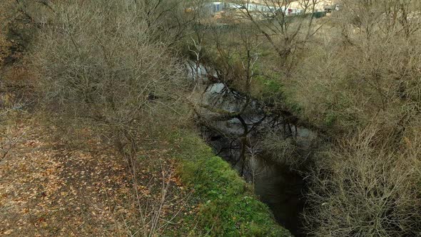 Flight over the autumn park. Park on the shore of a river.